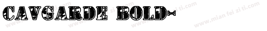 CAVGarde Bold字体转换